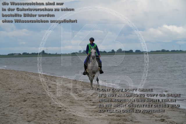 s_K3F04931.JPG